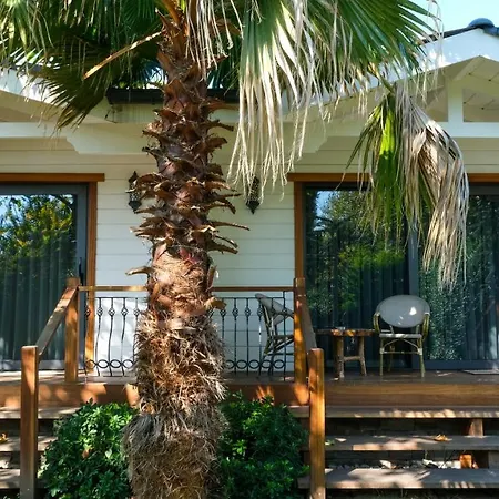 Otel Sasa Harmanlık Sapanca