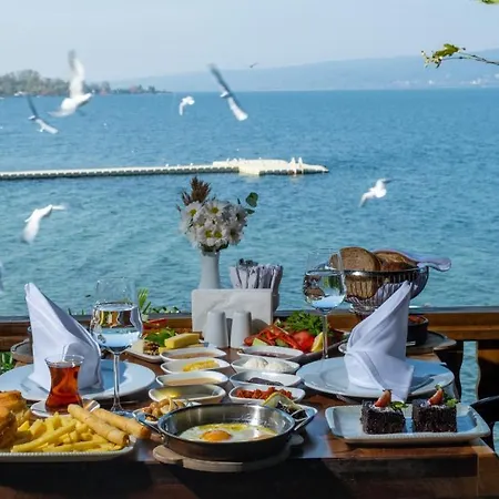 Sasa Harmanlık * Sapanca