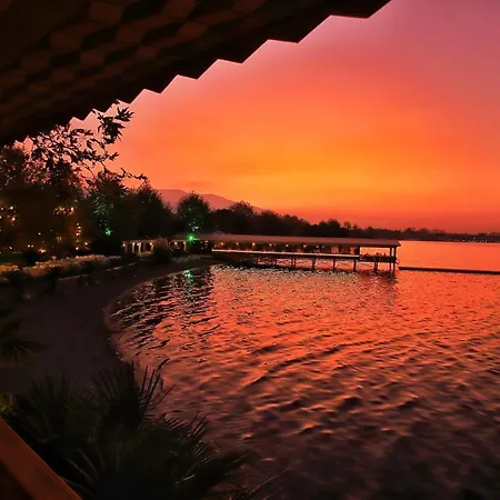 Sasa Harmanlik ספנג'ה