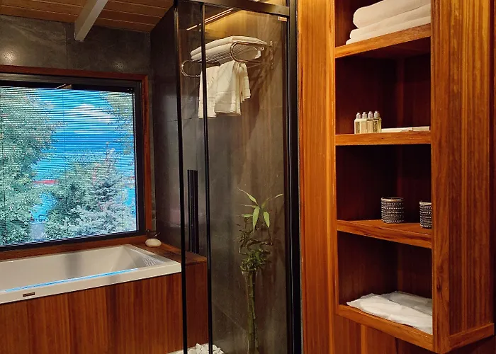 Sasa Harmanlik * سبانجا