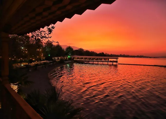 Sasa Harmanlik سبانجا