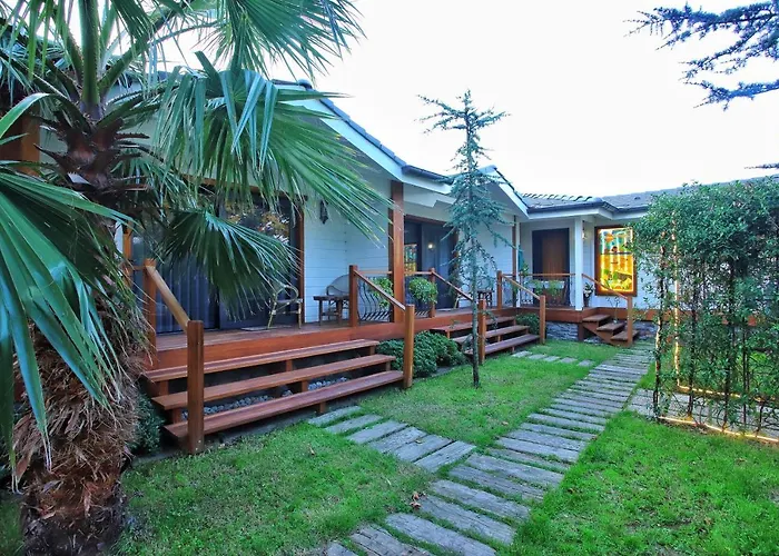 Sasa Harmanlik * Sapanca